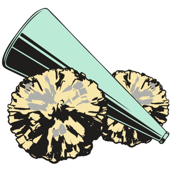 BAW CHEER 19 RC Miniaturansicht