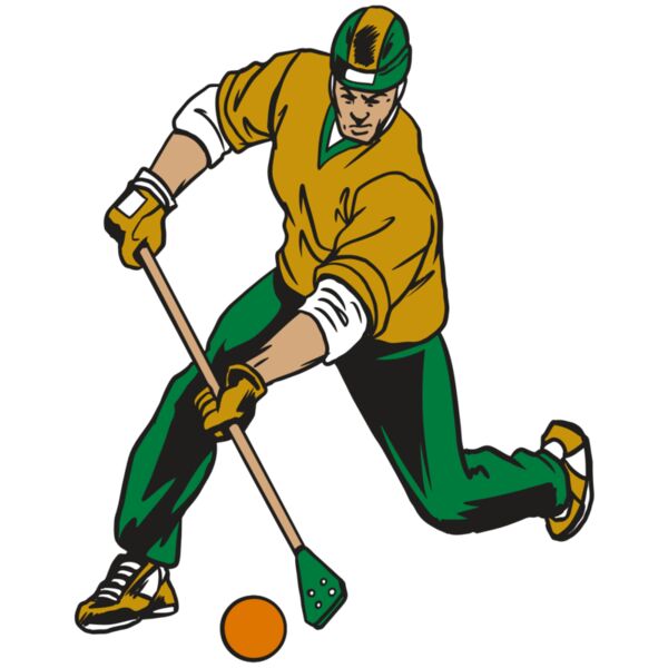 AR20 BROOMBALL 12 RQC Miniaturansicht