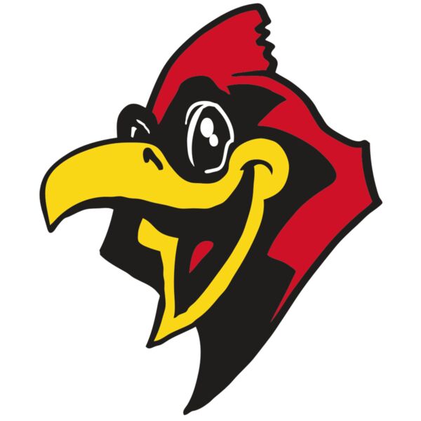 AR CARDINAL 36 RC Miniaturansicht