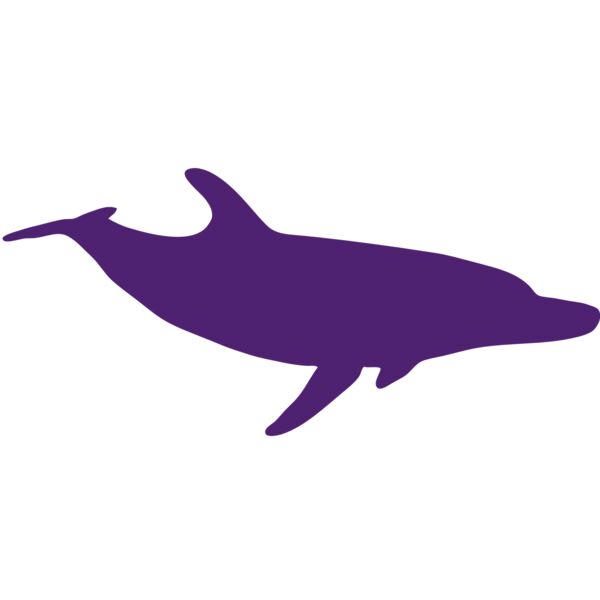 AR DOLPIN 12 RC Miniaturansicht