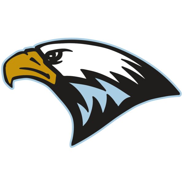 AR EAGLE 27 RC Miniaturansicht