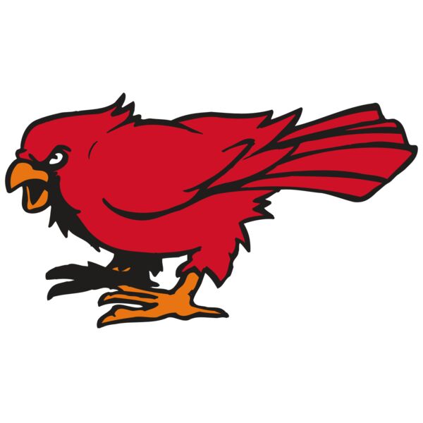 AR CARDINAL 59 RC Miniaturansicht