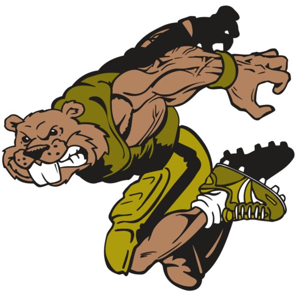 AR14 BEAVER FBLL 02 RQC Miniaturansicht