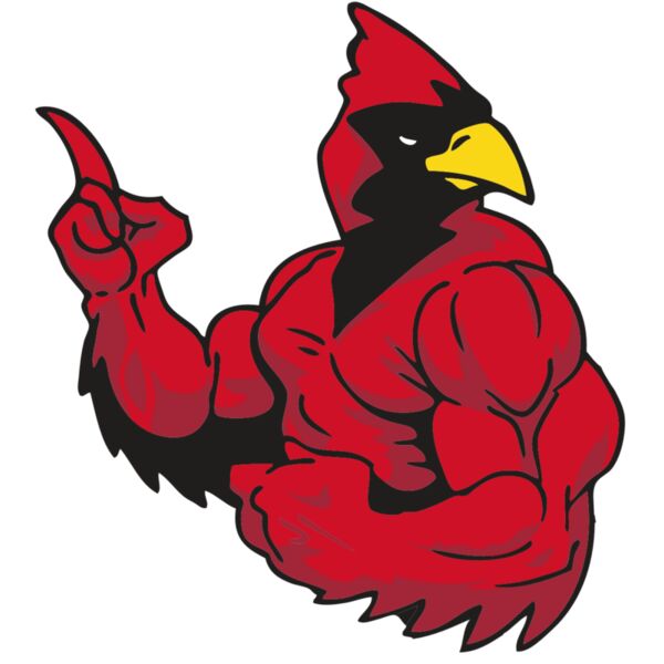 AR CARDINAL 28 RC Miniaturansicht