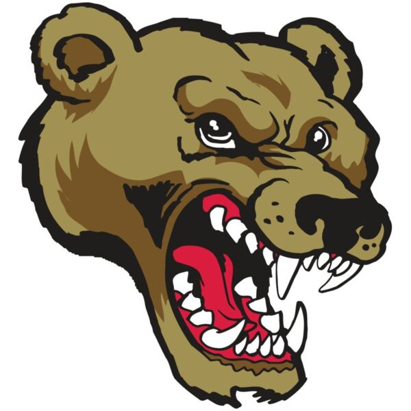 AR10 BEAR 01 RQC Miniaturansicht