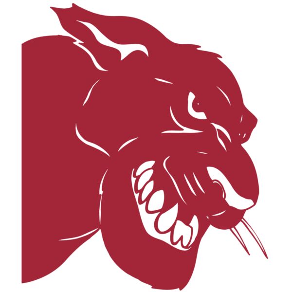 AR5 COUGAR 37 RQC Miniaturansicht