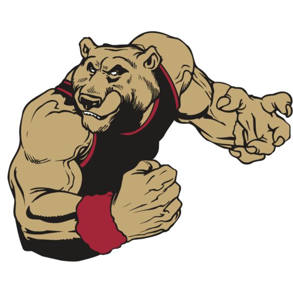 AR BEAR 40 RC Miniaturansicht