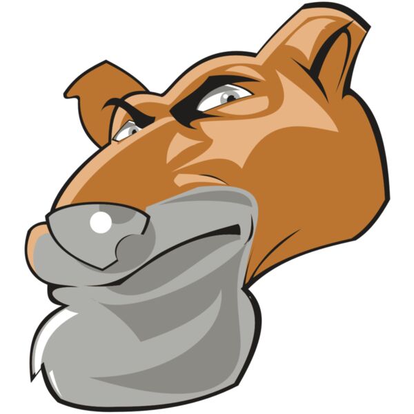 COUGAR HD0503 RQC Miniaturansicht