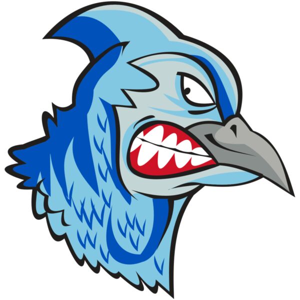 BLUEJAY HD0503 RQC Miniaturansicht