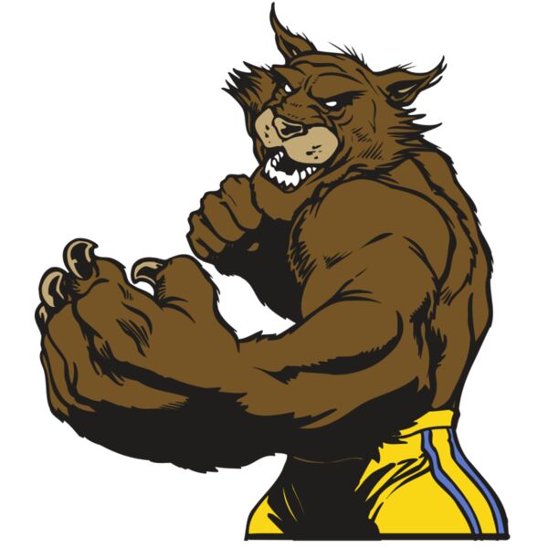 AR WILDCAT 48 RC Miniaturansicht