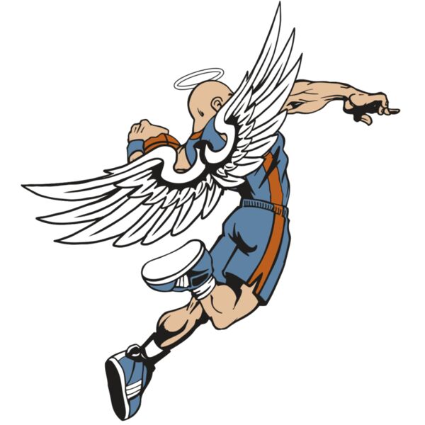 AR17 ANGEL BSKT 02 RQC Miniaturansicht