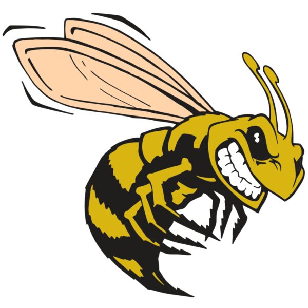 AR BEE 50 RC Miniaturansicht