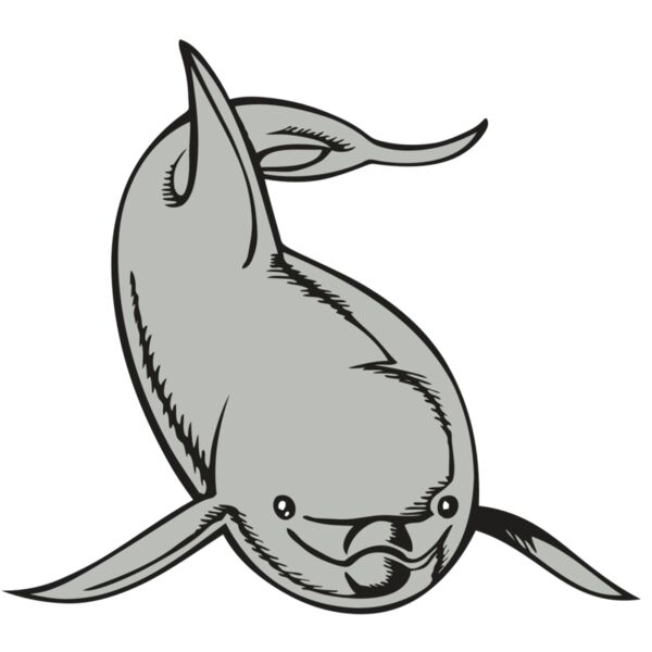 BAW DOLPHIN 02 RC Miniaturansicht