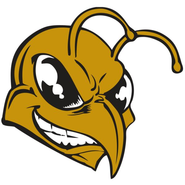 BAW BEE 18 RC Miniaturansicht