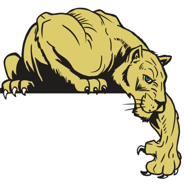 AR10 PANTHER 06 RQC Miniaturansicht