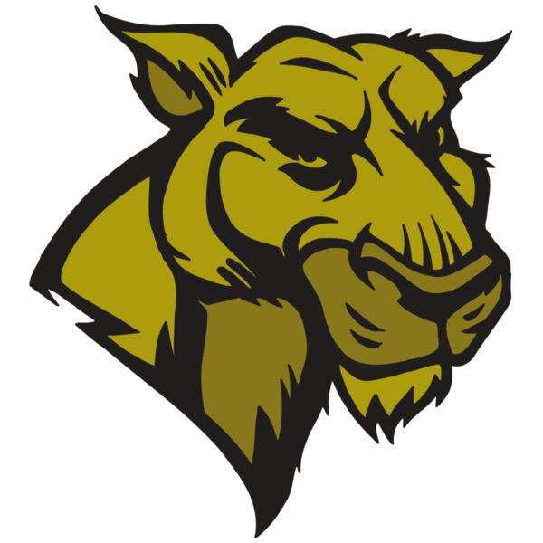 AR5 COUGAR 18 RQC Miniaturansicht