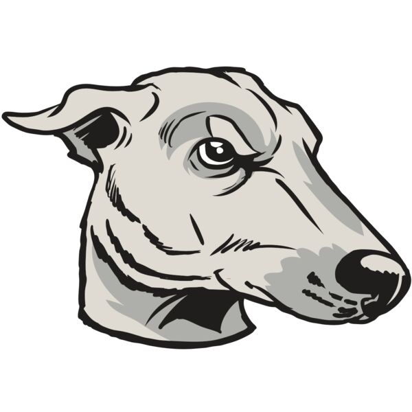 AR22 GREYHOUND 01 RQC Miniaturansicht