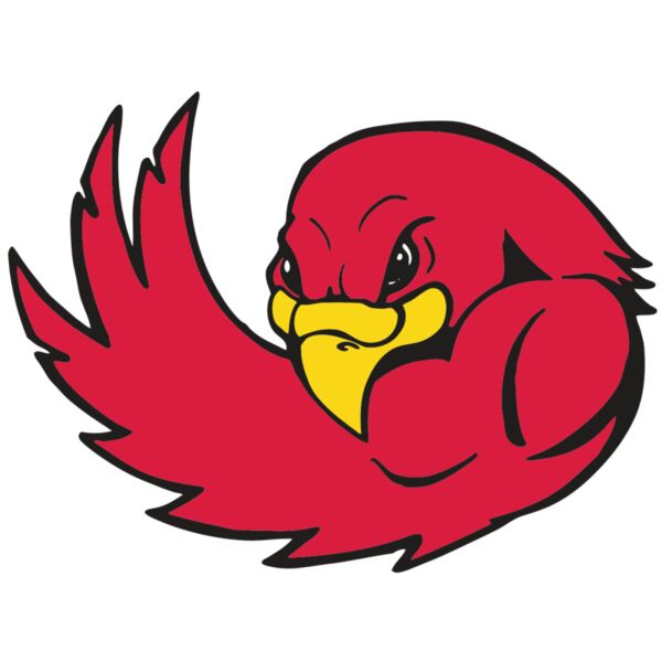 AR FALCON 18 RC Miniaturansicht