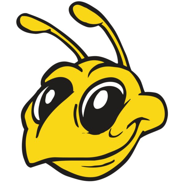 AR BEE 28 RC Miniaturansicht