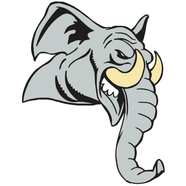 AR5 Elephant 12 RQC Miniaturansicht