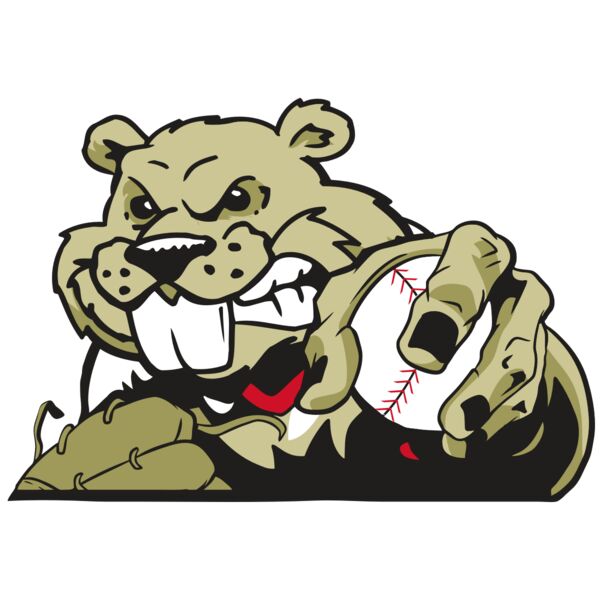 AR4 BEAVER 06 RQC Miniaturansicht