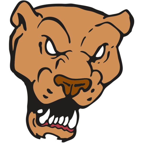 AR2 PANTHER 02 RQC Miniaturansicht