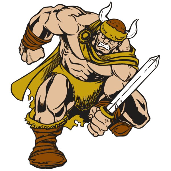 AR VIKING 35 RC Miniaturansicht