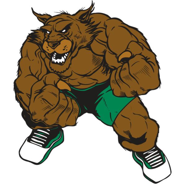 AR WILDCAT 45 RC Miniaturansicht