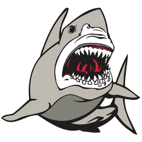 AR5 Shark 07 RQC Miniaturansicht