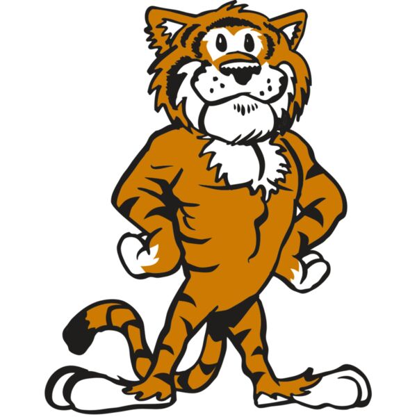 AR TIGER 91 RC Miniaturansicht