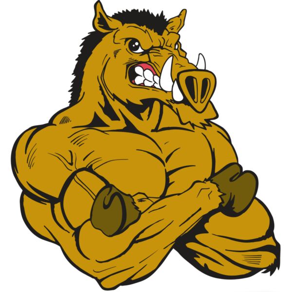 AR5 Razorback 17 RQC Miniaturansicht