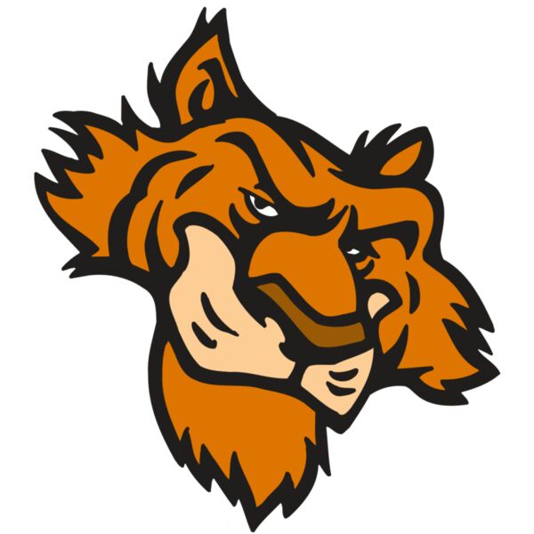 AR5 Tiger 16 RQC Miniaturansicht