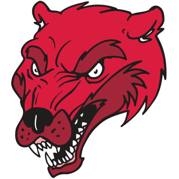 AR5 Wolverine 12 RQC Miniaturansicht