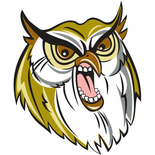 OWL HD0501 RQC Miniaturansicht