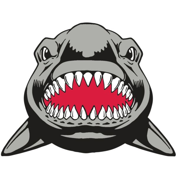 AR  SHARK 25 RC Miniaturansicht