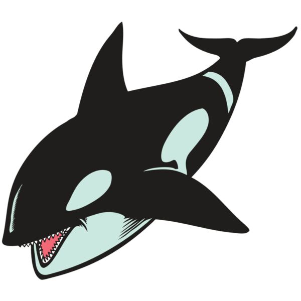 BAW KLRWHALE 02 RC Miniaturansicht