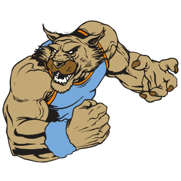 AR WILDCAT 46 RC Miniaturansicht