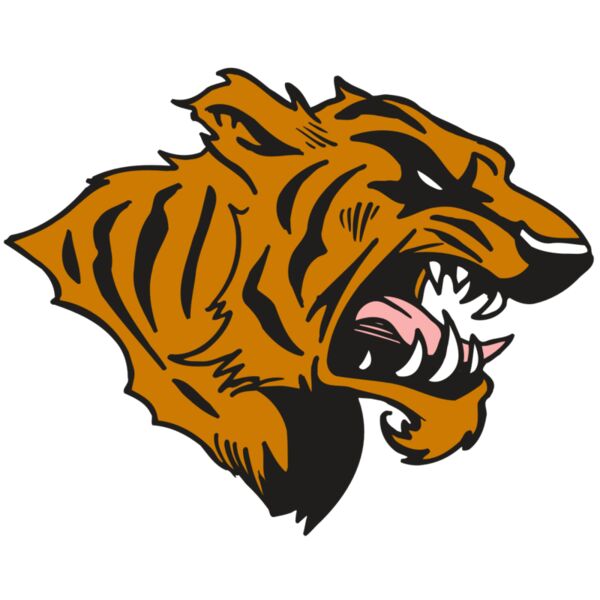 AR5 TIGER 08 RQC Miniaturansicht