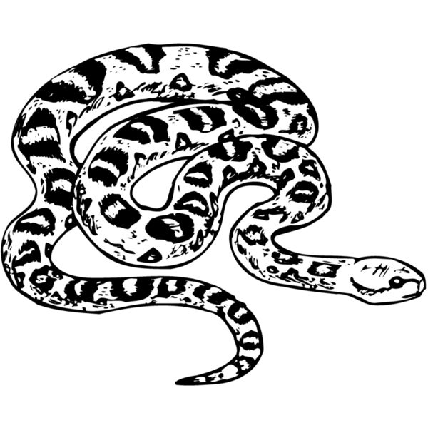 SNAKE001 Miniaturansicht