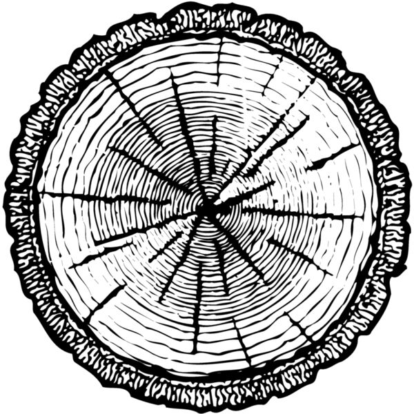 TIMBER04 Miniaturansicht