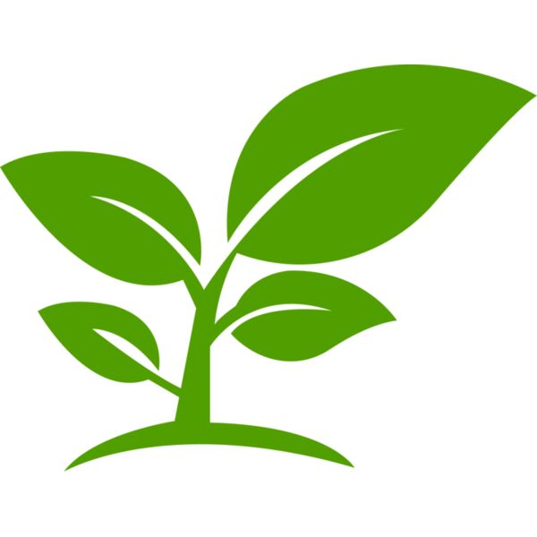 12 Leaves Miniaturansicht