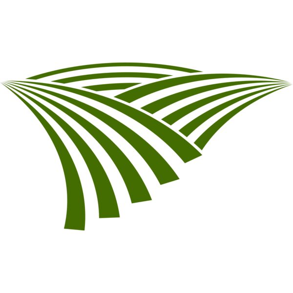 71 Rice Field Miniaturansicht