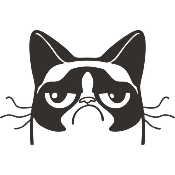 grumpy cat katze Miniaturansicht